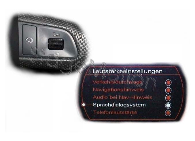 Sistema de diálogo de voz SDS para Audi A6 4F